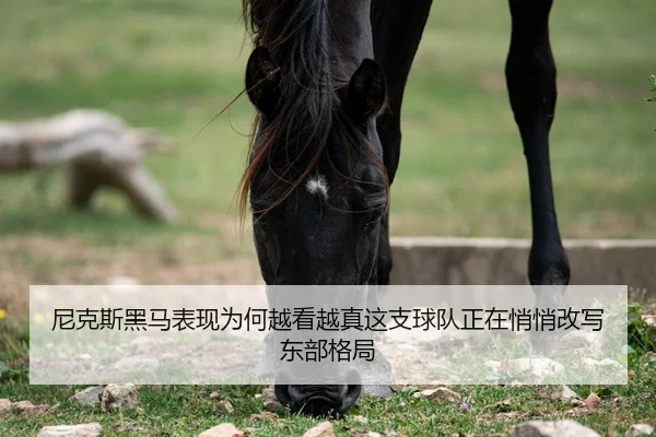 尼克斯黑马表现为何越看越真这支球队正在悄悄改写东部格局